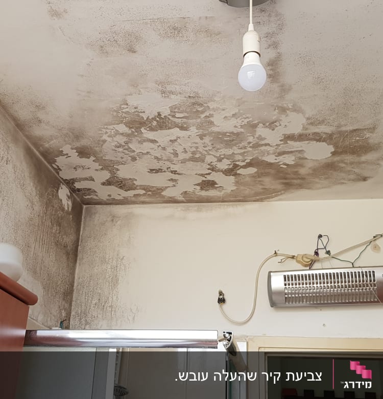 תקרה עם כתמי עובש ולחות, נורה תלויה